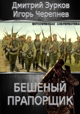 Дмитрий Зурков, Игорь Черепнев. Цикл (24 книги) - Бешеный прапорщик