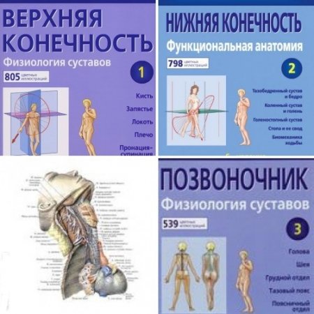 Адальберт Капанджи. Функциональная анатомия. Том 1-3