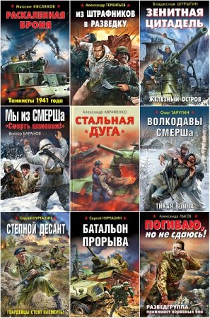 Война. Штрафбат. Они сражались за Родину - Серия 104 книги