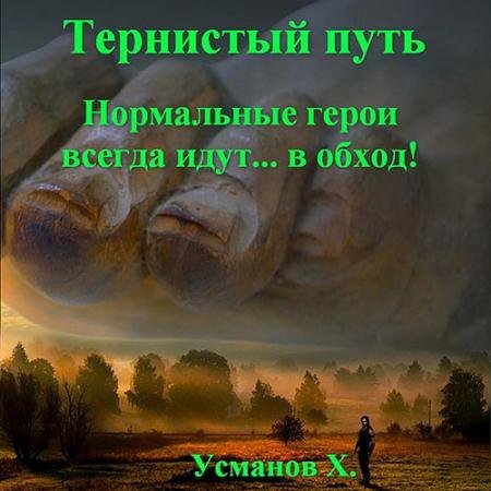 Аудиокнига - Тернистый путь. Нормальные герои всегда идут… в обход! (2023) Усманов Хайдарали